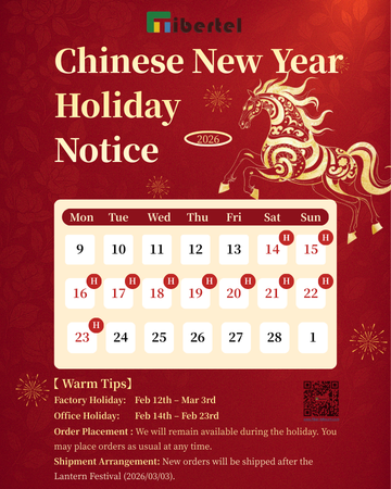 Chinese New Year Holiday Notice