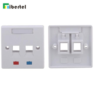 2-port UK Type Face Plate