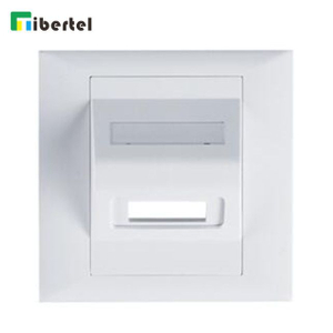 2 port Faceplate for Fiber Optic Adaptor 86*86mm