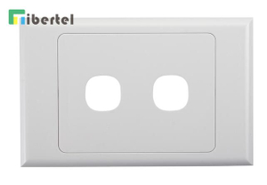 2 Port Network Socket RJ45 Wall Plate TJ02E4002