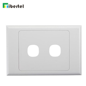 2-port Australia Type Face Plate