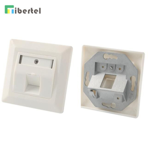 2-port Germany type Bevelled FTP Face Plate