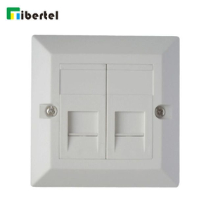 2-port UK Type Bevelled Face Plate