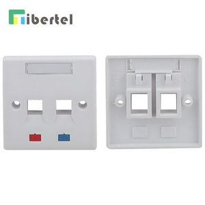 2ports UK type Flat Faceplate TJ02E1102