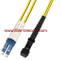 LC-MTRJ Single Mode Duplex Fiber Optic Patch Cord