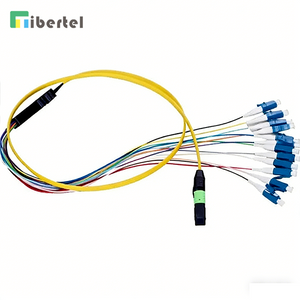 SM Pigtail with MPO to LC Connector